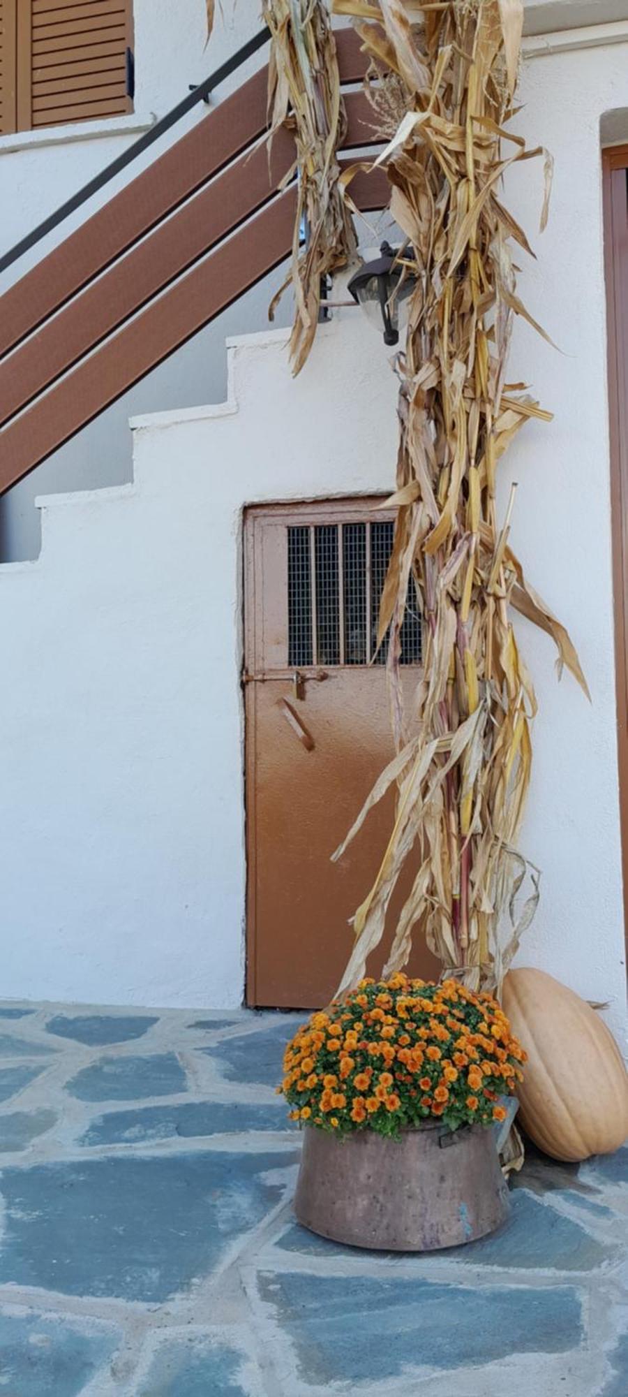 Point Of View 2 Apartment Pramanta Exterior photo